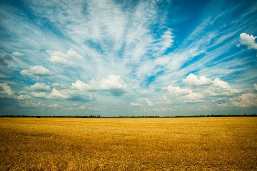 photo of grass field