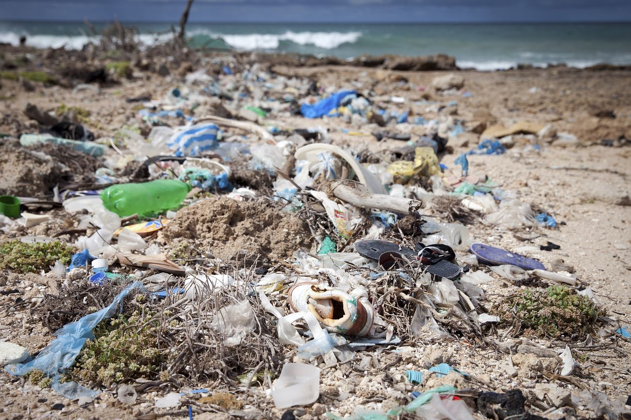 Beach cleanup. Mogadishu, Somalia